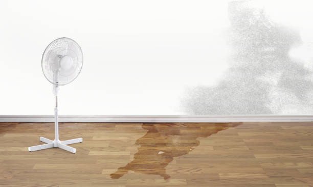 Best Residential water damage restoration  in West Menlo Park, CA