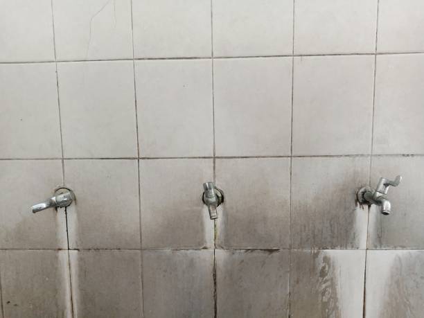 Best Flood damage cleanup  in West Menlo Park, CA