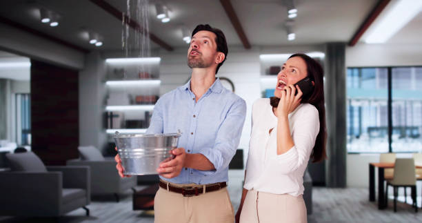 Best 24/7 water damage repair  in West Menlo Park, CA