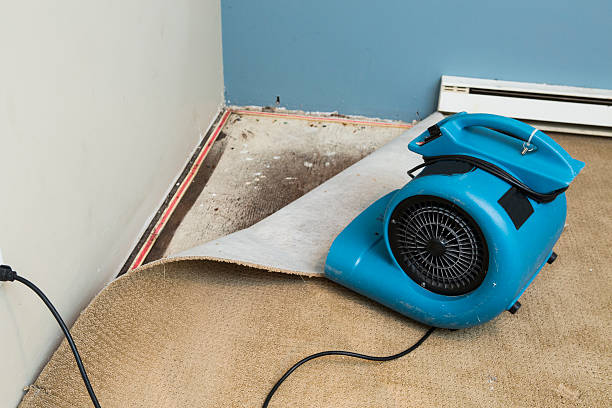  West Menlo Park, CA Water damage restoration Pros